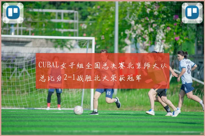 CUBAL女子组全国总决赛北京师大以总比分2-1战胜北大荣获冠军
