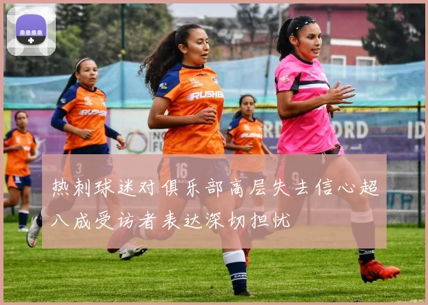 热刺球迷对俱乐部高层失去信心超八成受访者表达深切担忧
