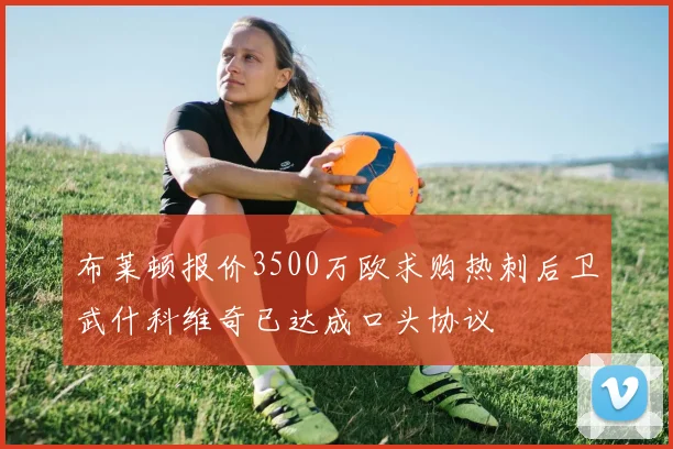 布莱顿报价3500万欧求购热刺后卫武什科维奇已达成口头协议