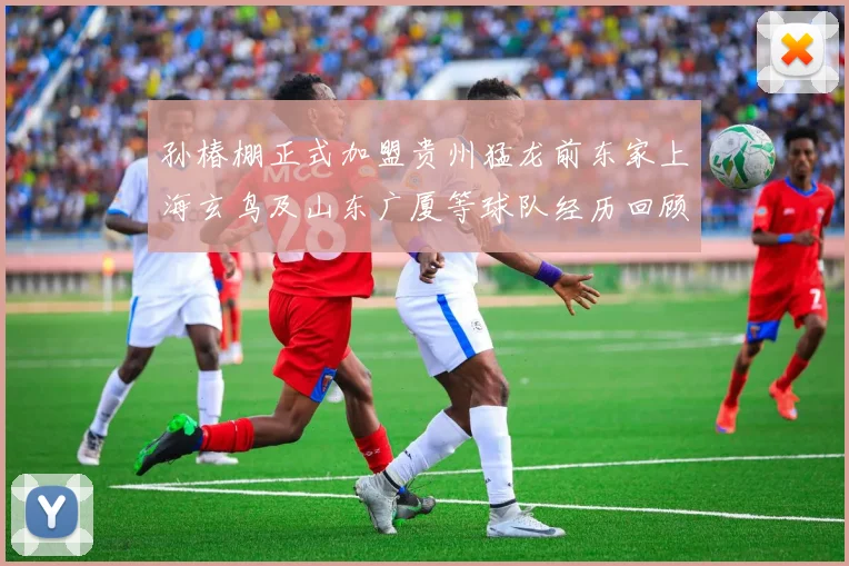 孙椿棚正式加盟贵州猛龙前东家上海玄鸟及山东广厦等球队经历回顾
